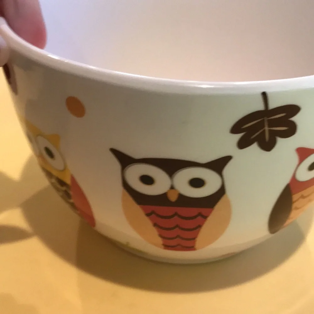 Pier 1 Bowls Hand Painted Earthenware Owl Bowl & Red Bowl